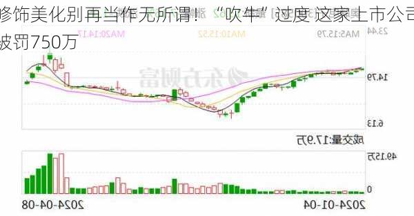 修饰美化别再当作无所谓！“吹牛”过度 这家上市公司被罚750万-第2张图片-苏希特新能源