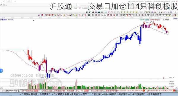 沪股通上一交易日加仓114只科创板股-第2张图片-苏希特新能源