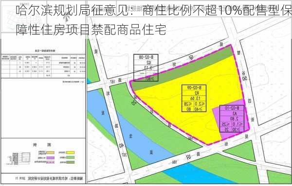 哈尔滨规划局征意见：商住比例不超10%配售型保障性住房项目禁配商品住宅