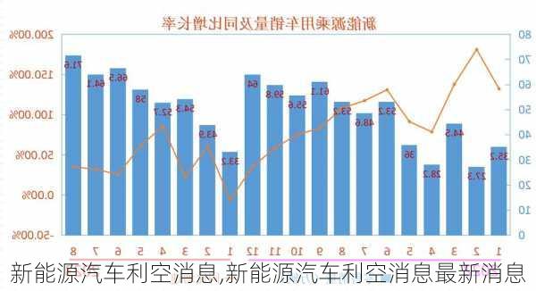 新能源汽车利空消息,新能源汽车利空消息最新消息-第3张图片-苏希特新能源