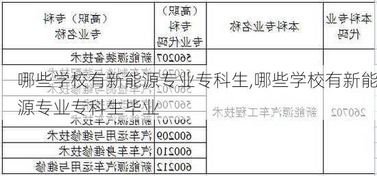 哪些学校有新能源专业专科生,哪些学校有新能源专业专科生毕业-第2张图片-苏希特新能源