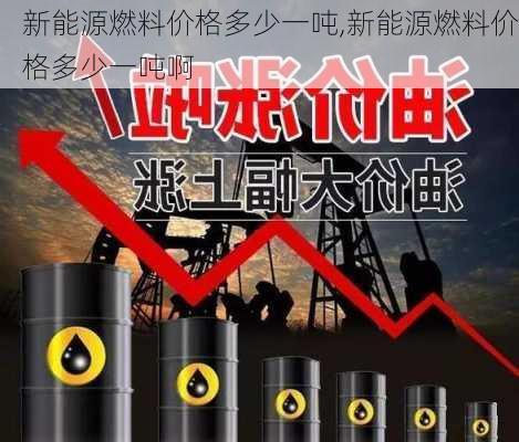 新能源燃料价格多少一吨,新能源燃料价格多少一吨啊-第2张图片-苏希特新能源