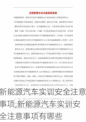 新能源汽车实训安全注意事项,新能源汽车实训安全注意事项有哪些-第3张图片-苏希特新能源