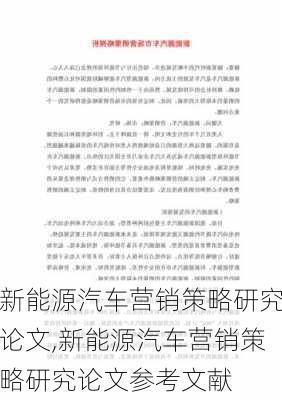 新能源汽车营销策略研究论文,新能源汽车营销策略研究论文参考文献-第3张图片-苏希特新能源