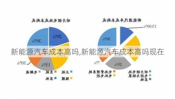 新能源汽车成本高吗,新能源汽车成本高吗现在-第3张图片-苏希特新能源