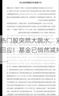 热门股突然大跳水，紧急回应！基金已悄然减持......-第1张图片-苏希特新能源