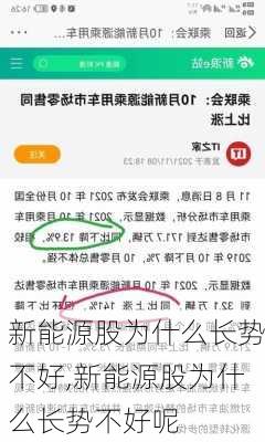 新能源股为什么长势不好,新能源股为什么长势不好呢-第2张图片-苏希特新能源