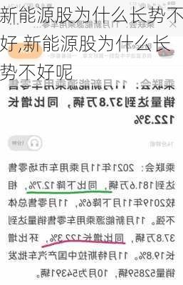 新能源股为什么长势不好,新能源股为什么长势不好呢-第3张图片-苏希特新能源