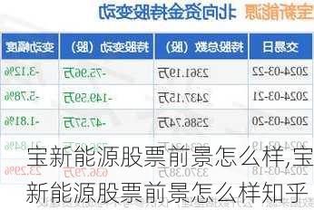 宝新能源股票前景怎么样,宝新能源股票前景怎么样知乎-第2张图片-苏希特新能源