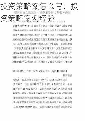 投资策略案怎么写：投资策略案例经验-第2张图片-苏希特新能源