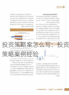 投资策略案怎么写：投资策略案例经验-第3张图片-苏希特新能源