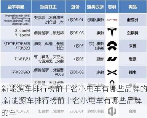 新能源车排行榜前十名小电车有哪些品牌的,新能源车排行榜前十名小电车有哪些品牌的车-第1张图片-苏希特新能源