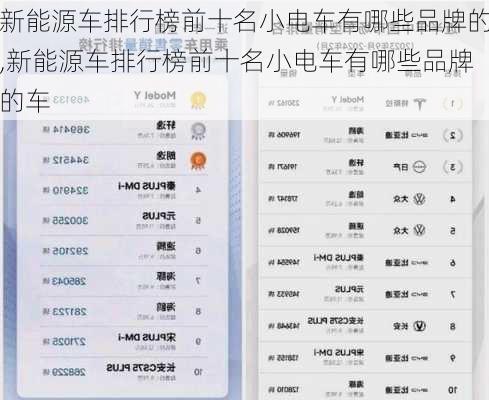 新能源车排行榜前十名小电车有哪些品牌的,新能源车排行榜前十名小电车有哪些品牌的车-第2张图片-苏希特新能源