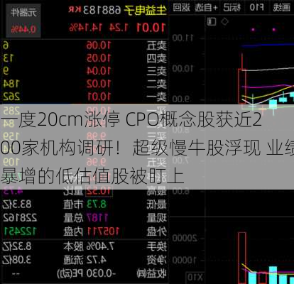 一度20cm涨停 CPO概念股获近200家机构调研！超级慢牛股浮现 业绩暴增的低估值股被盯上-第1张图片-苏希特新能源