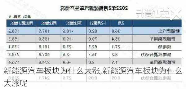 新能源汽车板块为什么大涨,新能源汽车板块为什么大涨呢-第2张图片-苏希特新能源