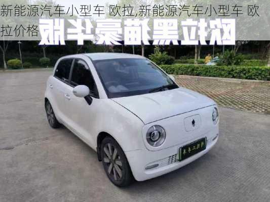 新能源汽车小型车 欧拉,新能源汽车小型车 欧拉价格