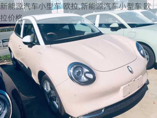 新能源汽车小型车 欧拉,新能源汽车小型车 欧拉价格-第2张图片-苏希特新能源