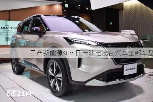 日产新能源suv,日产油电混合汽车全部车型-第2张图片-苏希特新能源