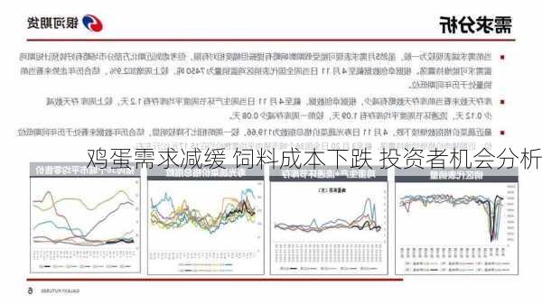 鸡蛋需求减缓 饲料成本下跌 投资者机会分析