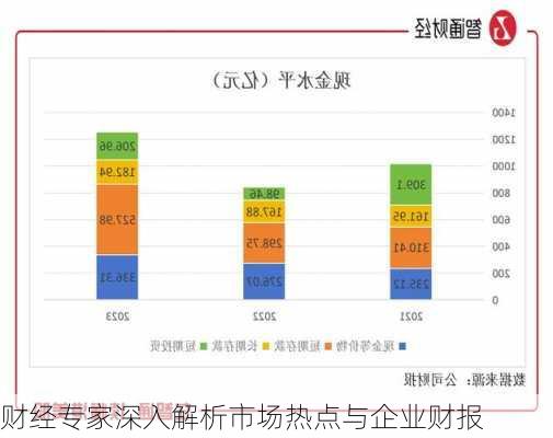 财经专家深入解析市场热点与企业财报