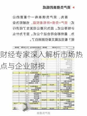 财经专家深入解析市场热点与企业财报-第2张图片-苏希特新能源