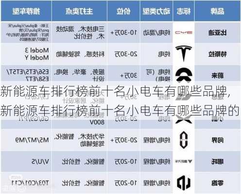 新能源车排行榜前十名小电车有哪些品牌,新能源车排行榜前十名小电车有哪些品牌的-第2张图片-苏希特新能源