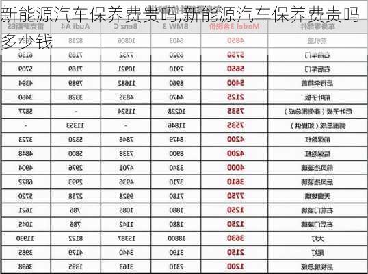 新能源汽车保养费贵吗,新能源汽车保养费贵吗多少钱-第1张图片-苏希特新能源