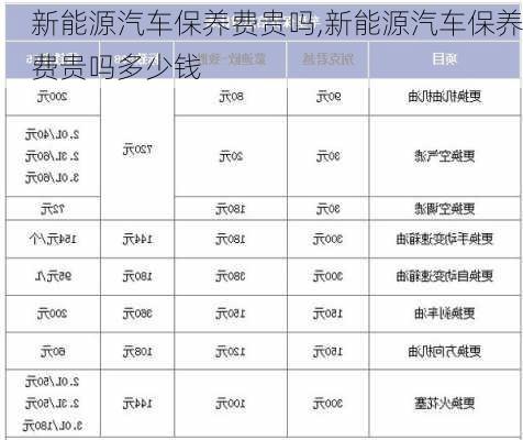 新能源汽车保养费贵吗,新能源汽车保养费贵吗多少钱-第2张图片-苏希特新能源