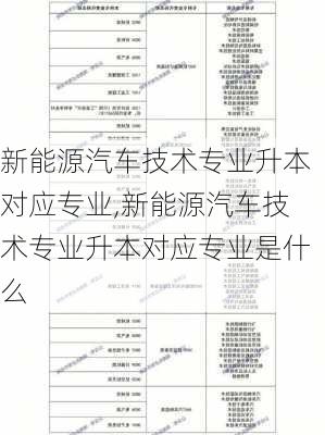 新能源汽车技术专业升本对应专业,新能源汽车技术专业升本对应专业是什么-第2张图片-苏希特新能源