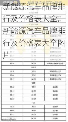 新能源汽车品牌排行及价格表大全,新能源汽车品牌排行及价格表大全图片-第2张图片-苏希特新能源