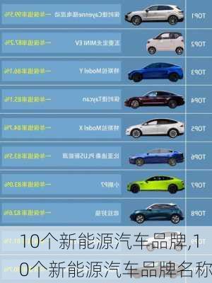 10个新能源汽车品牌,10个新能源汽车品牌名称-第1张图片-苏希特新能源