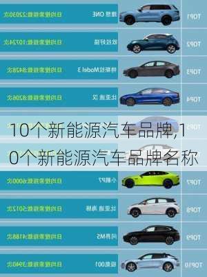 10个新能源汽车品牌,10个新能源汽车品牌名称-第3张图片-苏希特新能源