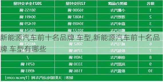 新能源汽车前十名品牌 车型,新能源汽车前十名品牌 车型有哪些-第1张图片-苏希特新能源