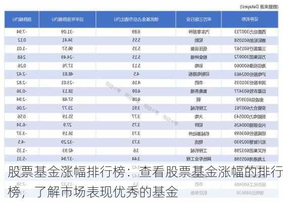 股票基金涨幅排行榜：查看股票基金涨幅的排行榜，了解市场表现优秀的基金-第2张图片-苏希特新能源