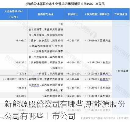 新能源股份公司有哪些,新能源股份公司有哪些上市公司-第3张图片-苏希特新能源