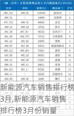 新能源汽车销售排行榜3月,新能源汽车销售排行榜3月份销量-第1张图片-苏希特新能源