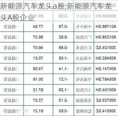 新能源汽车龙头a股,新能源汽车龙头A股企业-第1张图片-苏希特新能源