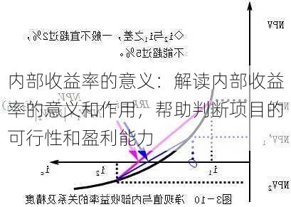 内部收益率的意义：解读内部收益率的意义和作用，帮助判断项目的可行性和盈利能力-第2张图片-苏希特新能源