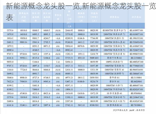 新能源概念龙头股一览,新能源概念龙头股一览表-第3张图片-苏希特新能源