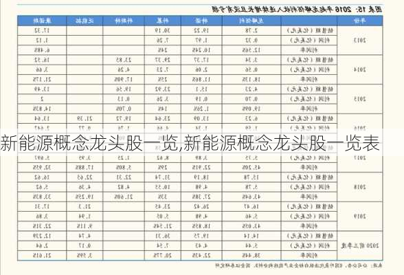 新能源概念龙头股一览,新能源概念龙头股一览表-第2张图片-苏希特新能源