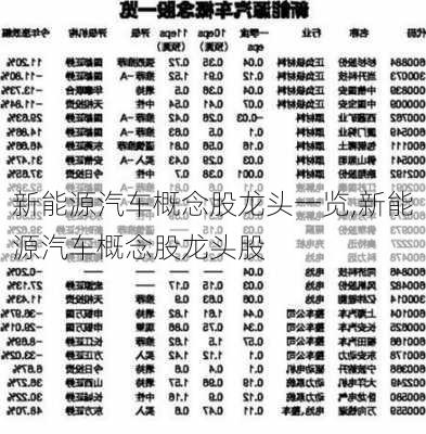 新能源汽车概念股龙头一览,新能源汽车概念股龙头股-第2张图片-苏希特新能源