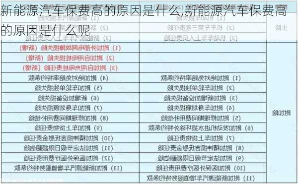 新能源汽车保费高的原因是什么,新能源汽车保费高的原因是什么呢-第2张图片-苏希特新能源