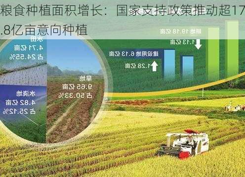 粮食种植面积增长：国家支持政策推动超17.8亿亩意向种植-第1张图片-苏希特新能源