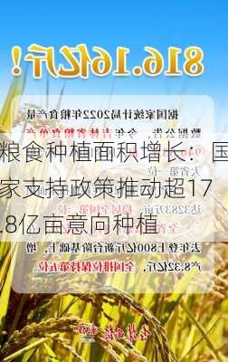 粮食种植面积增长：国家支持政策推动超17.8亿亩意向种植-第2张图片-苏希特新能源