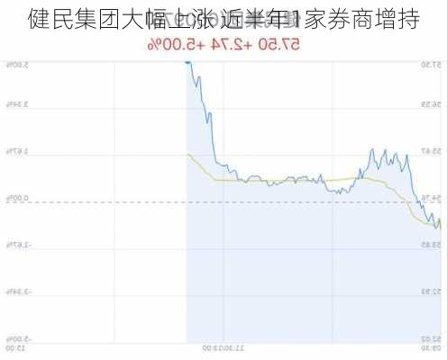 健民集团大幅上涨 近半年1家券商增持-第1张图片-苏希特新能源