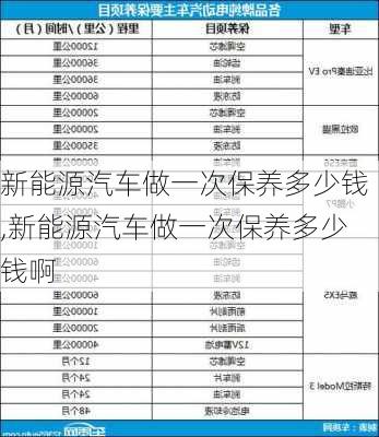 新能源汽车做一次保养多少钱,新能源汽车做一次保养多少钱啊-第3张图片-苏希特新能源