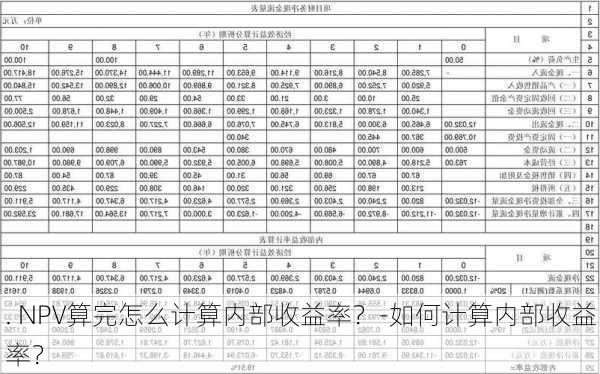 . NPV算完怎么计算内部收益率？-如何计算内部收益率？-第2张图片-苏希特新能源