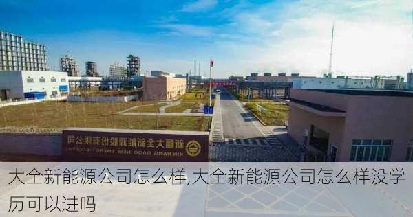 大全新能源公司怎么样,大全新能源公司怎么样没学历可以进吗