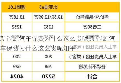 新能源汽车保费为什么这么贵呢,新能源汽车保费为什么这么贵呢知乎-第3张图片-苏希特新能源