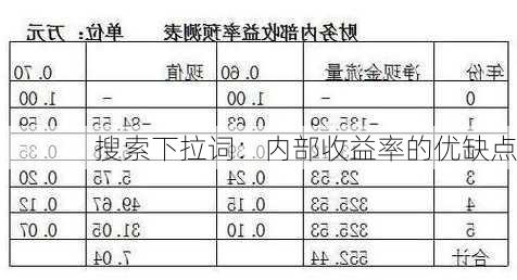 搜索下拉词：内部收益率的优缺点-第2张图片-苏希特新能源